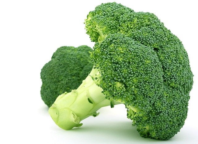 broccoli 1239149 640